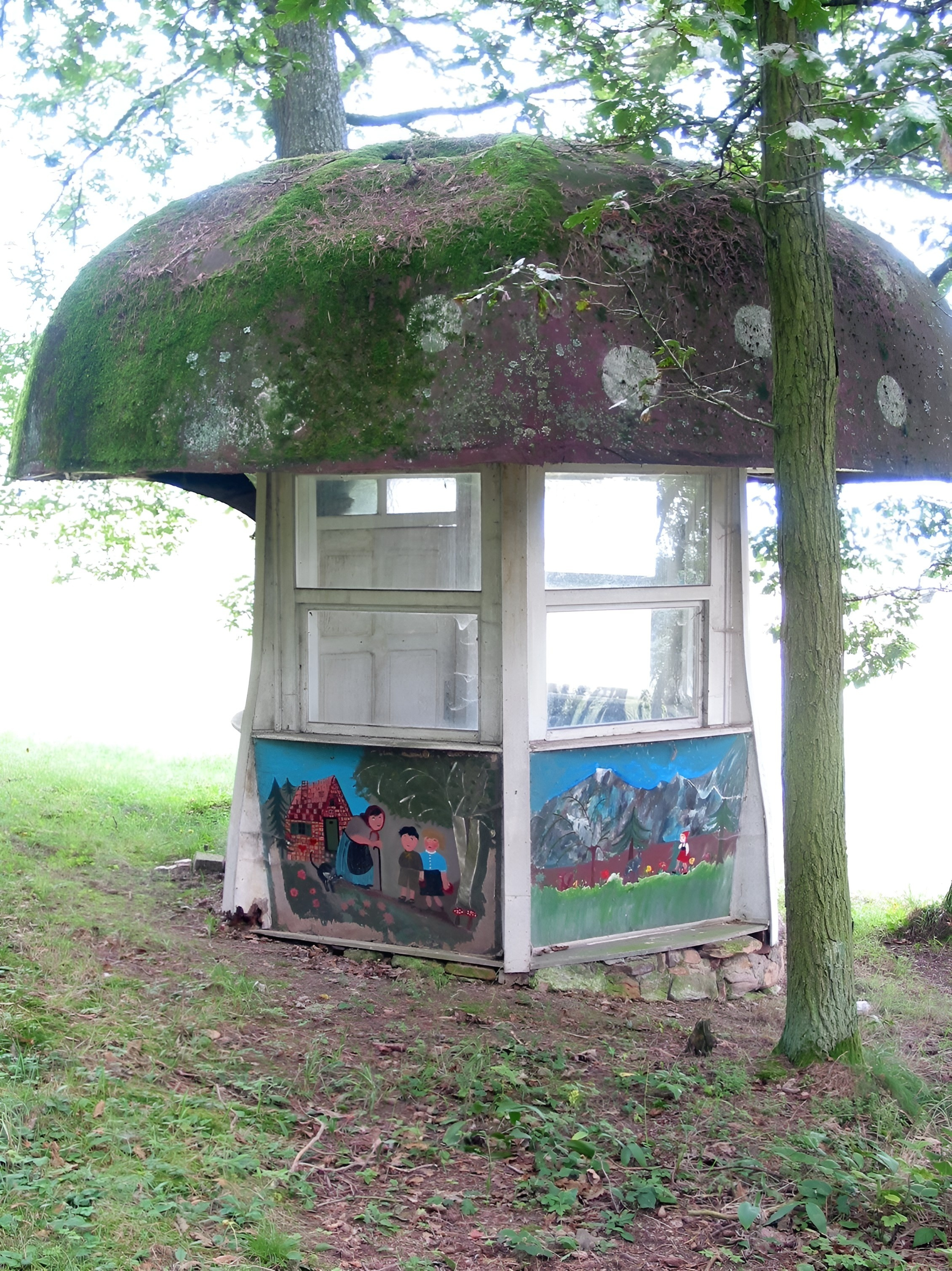 Der ursprüngliche Märchenpilz am 31.08.2002