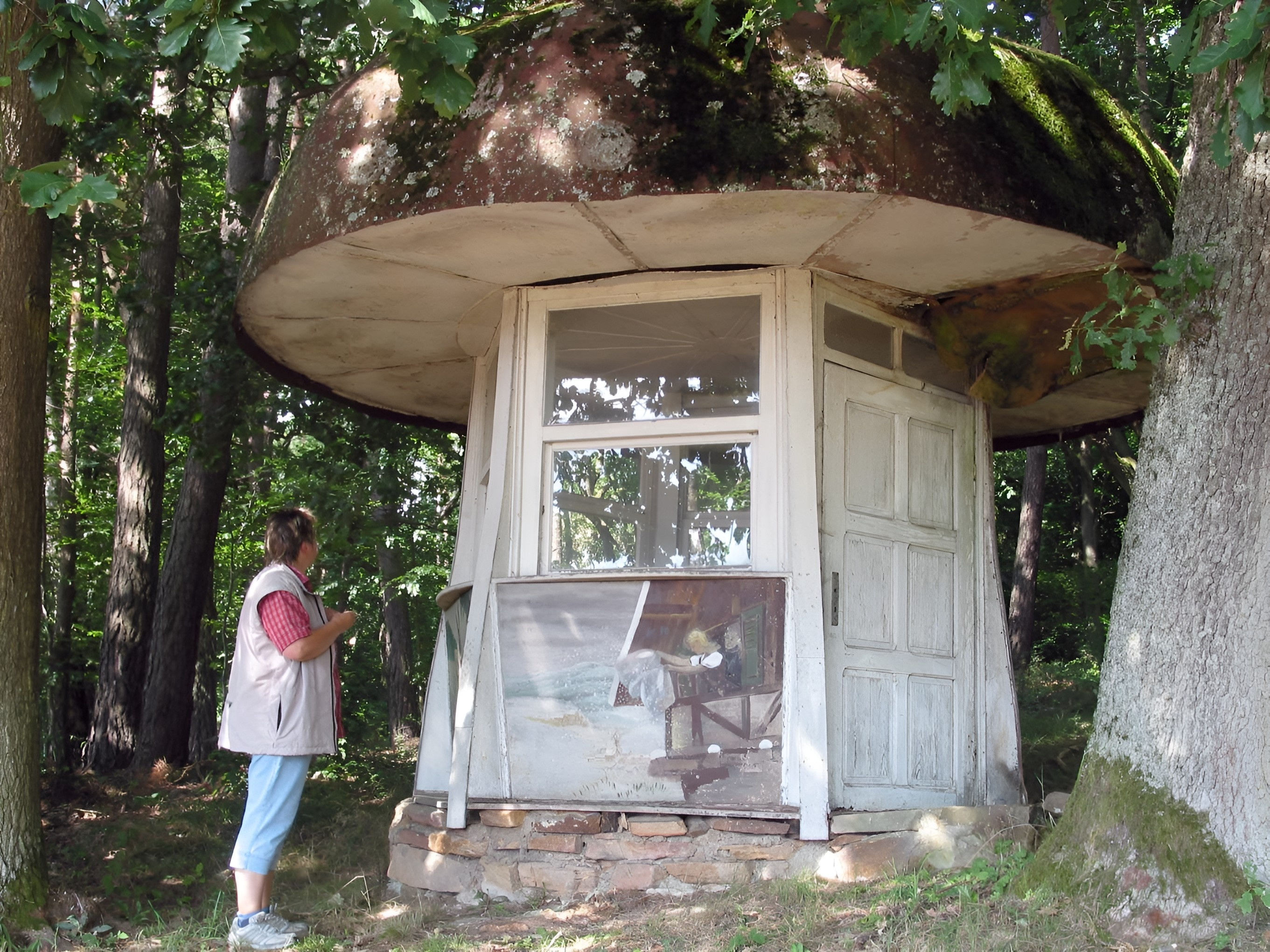 Der ursprüngliche Märchenpilz am 30.07.2003