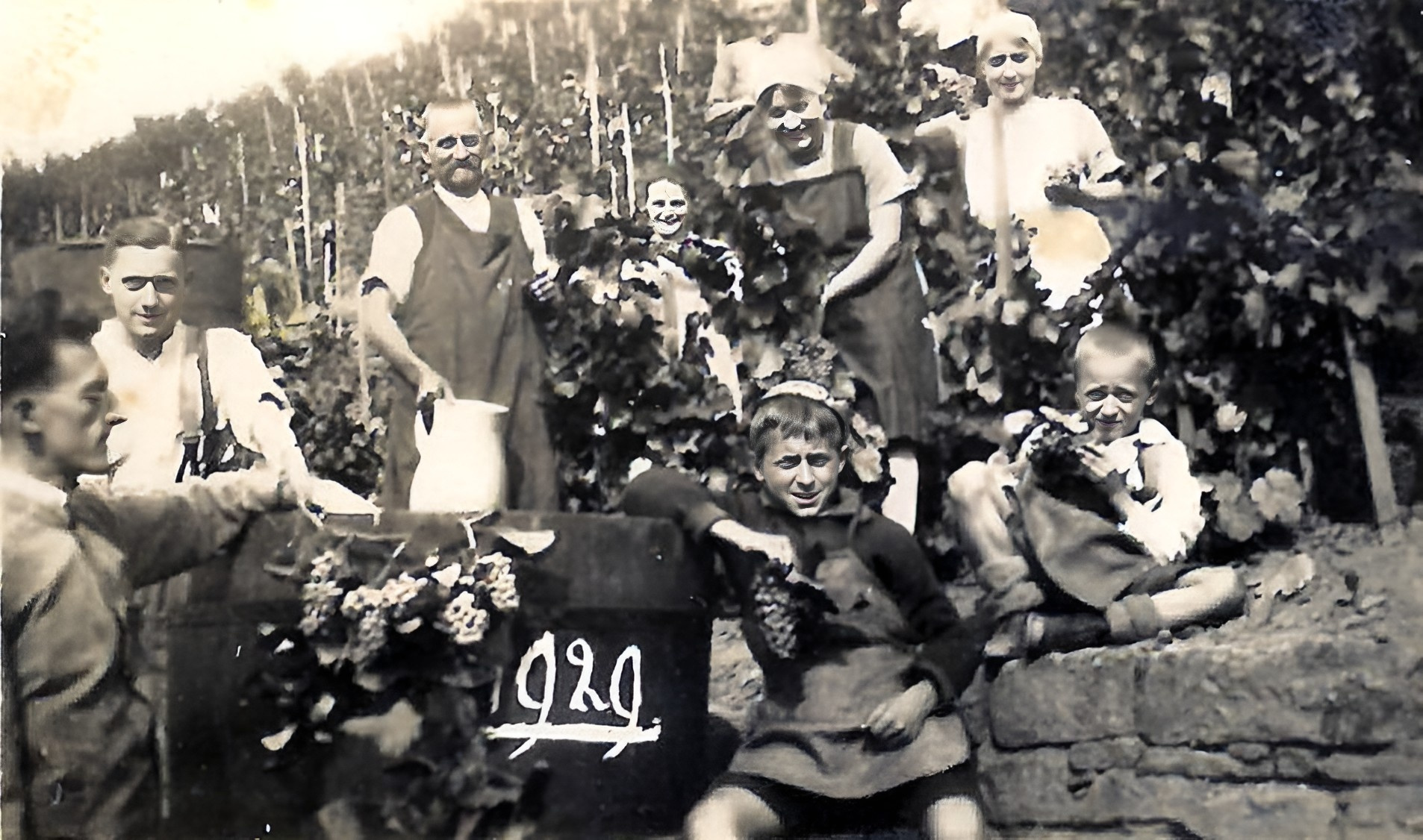 Traubenlese bei Familie Adrian 1929