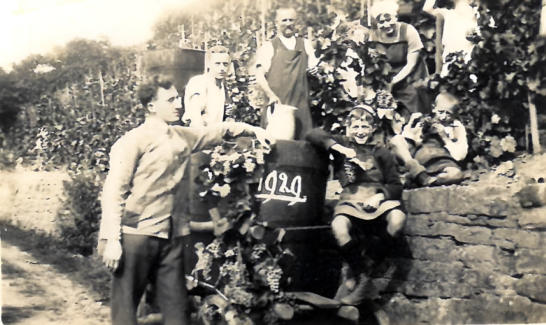 Traubenlese bei Familie Adrian 1929