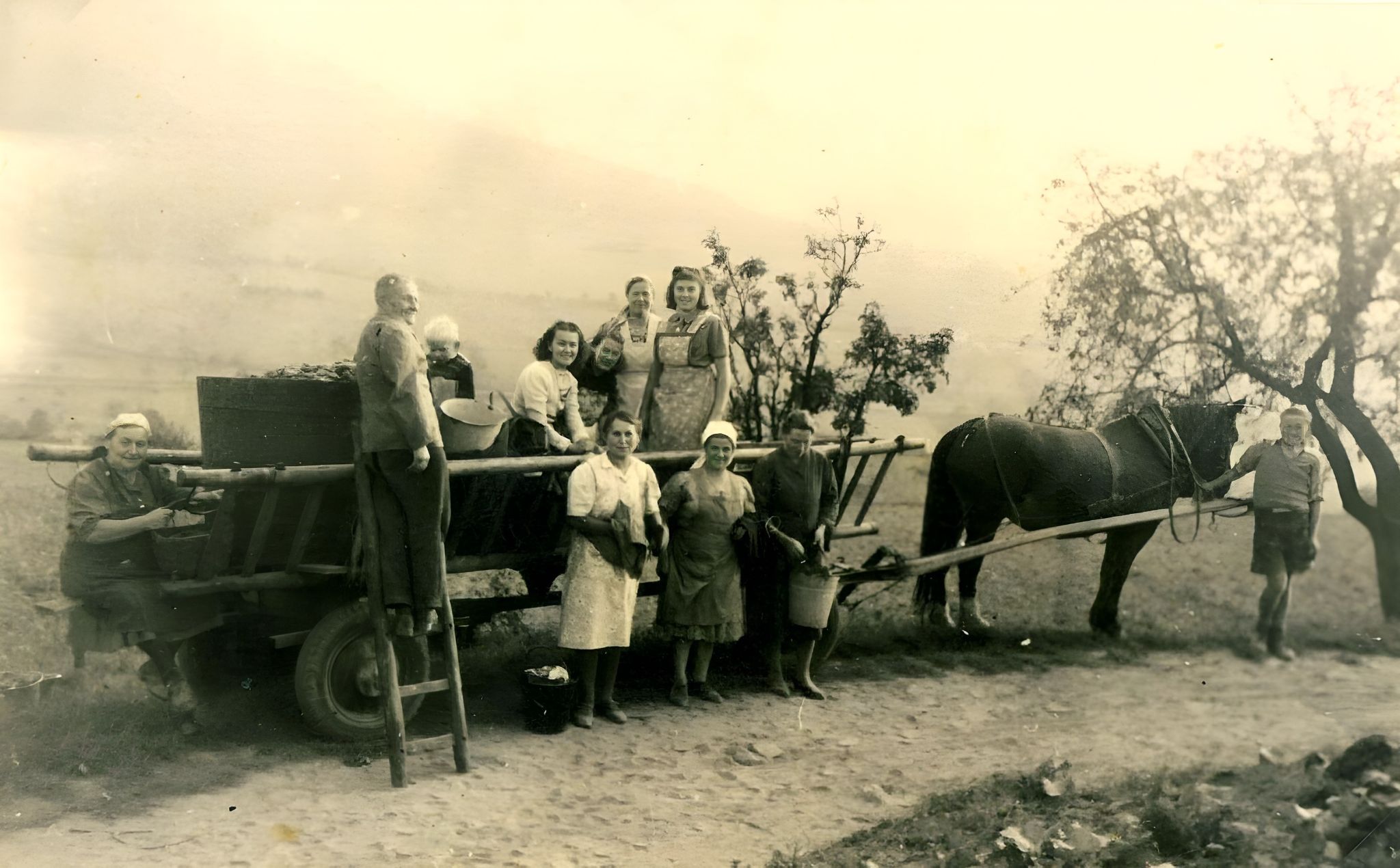 Winzer Konrad Arnheiter mit Familie bei der Traubenlese in Bürgstadt