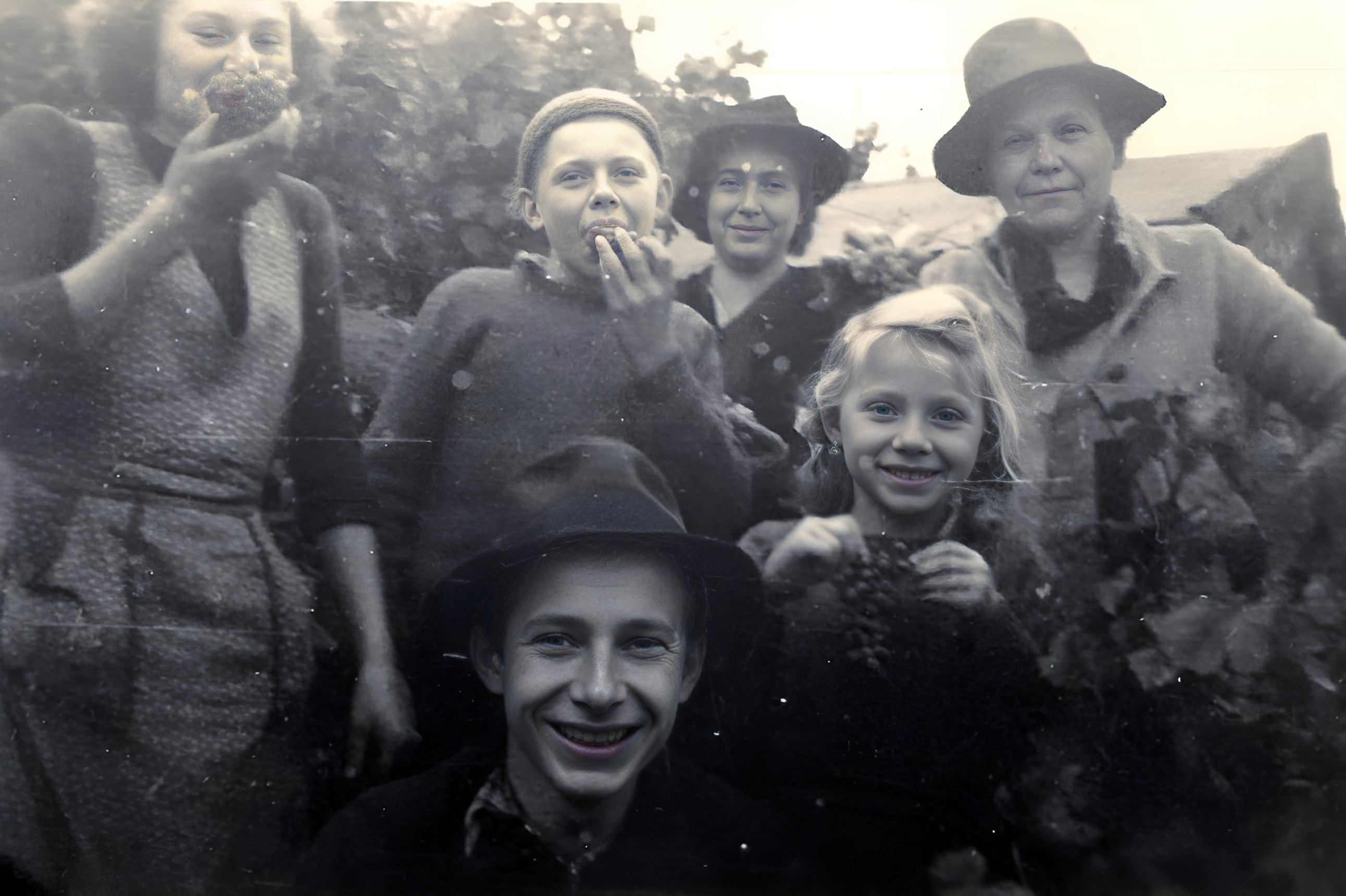 Traubenlese bei Familie Scholz