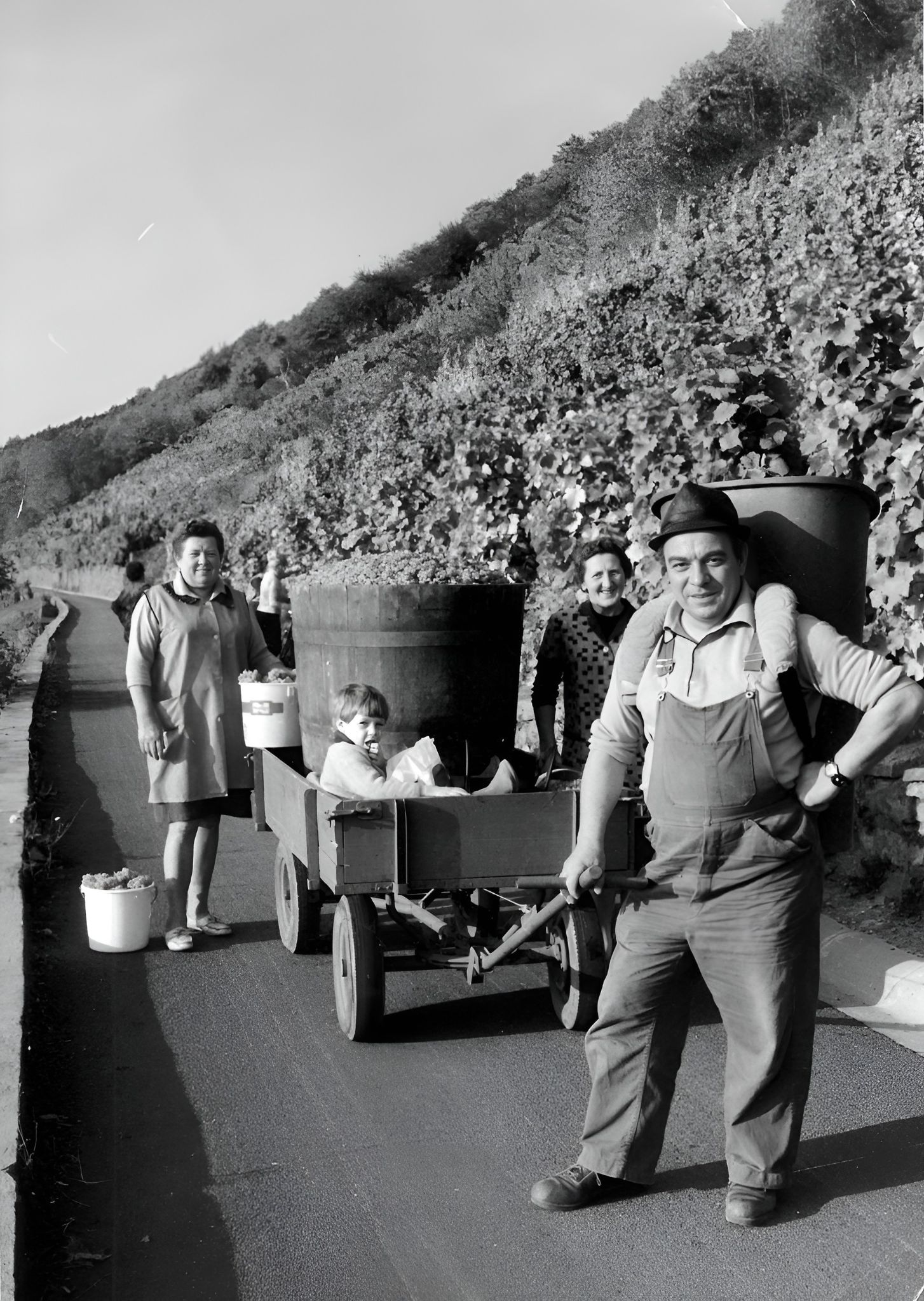 Traubenlese bei Familie Hugo Ebert 1972