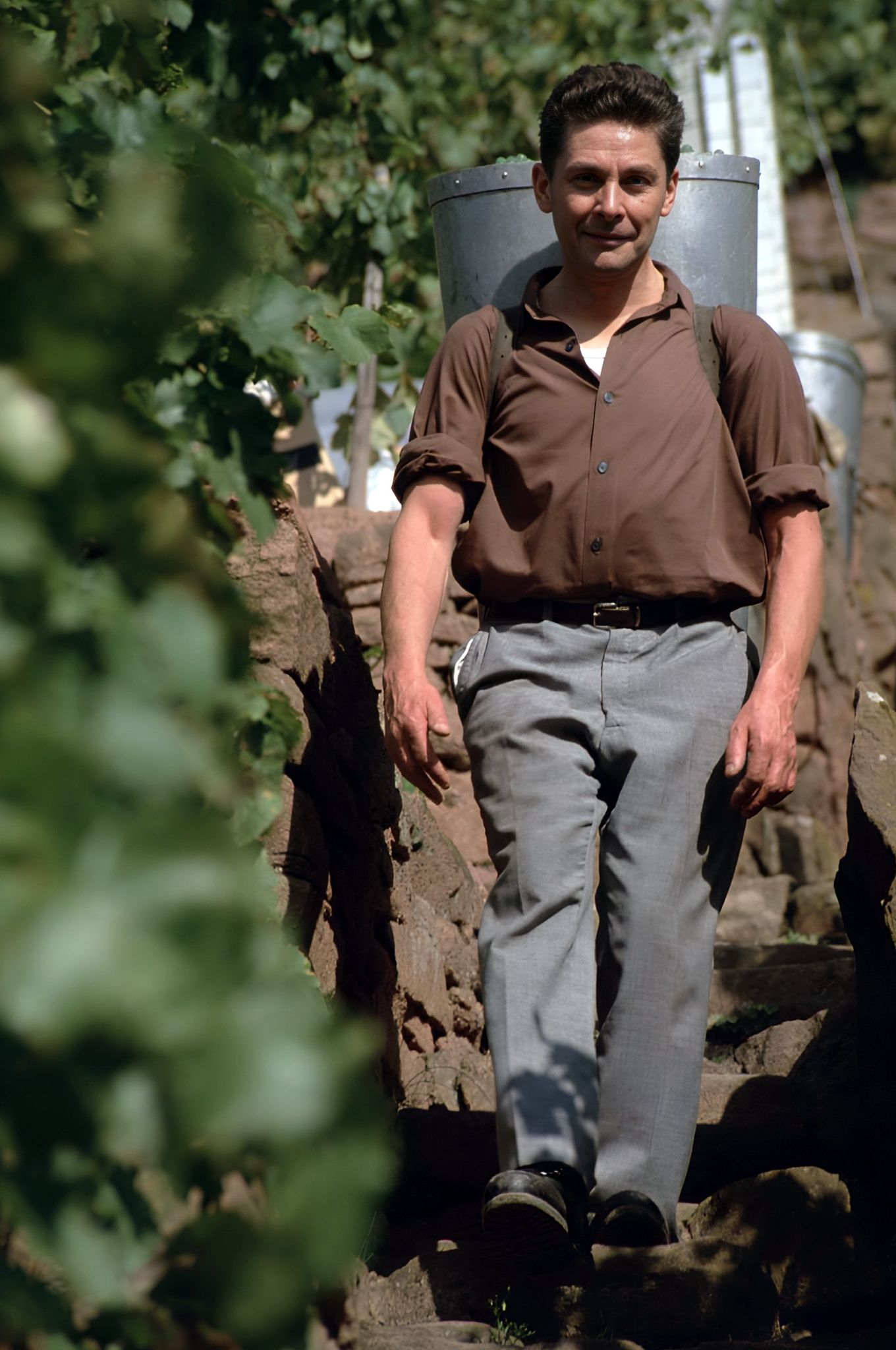 Traubenlese bei Familie Faust 1982