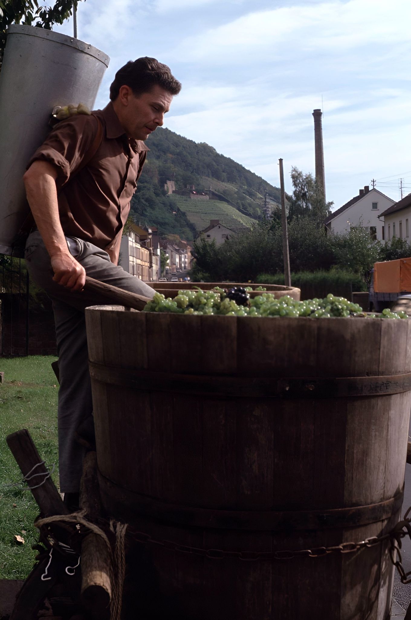 Traubenlese bei Familie Faust 1982