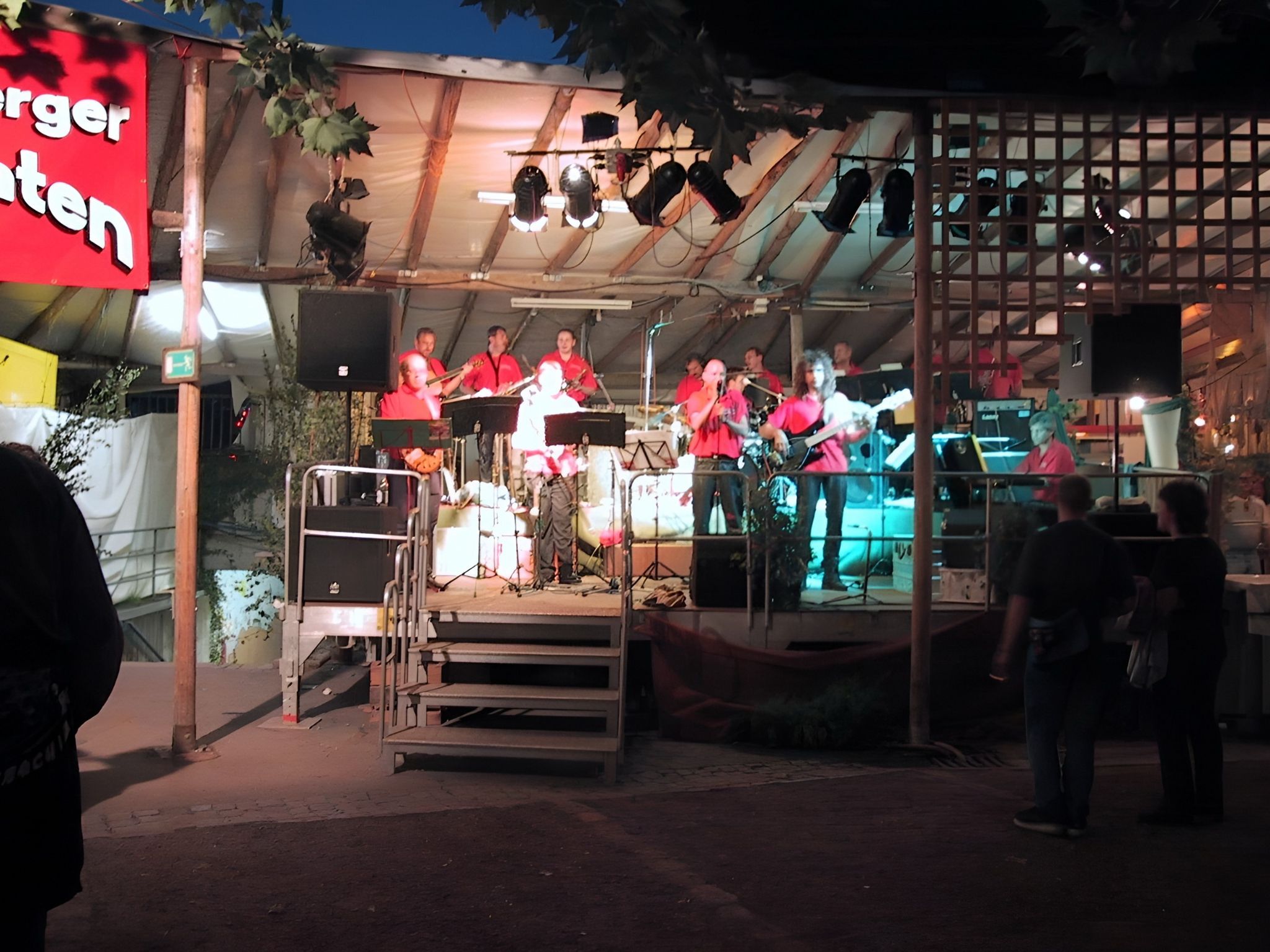 Die Klingenberger Musikanten in Aktion