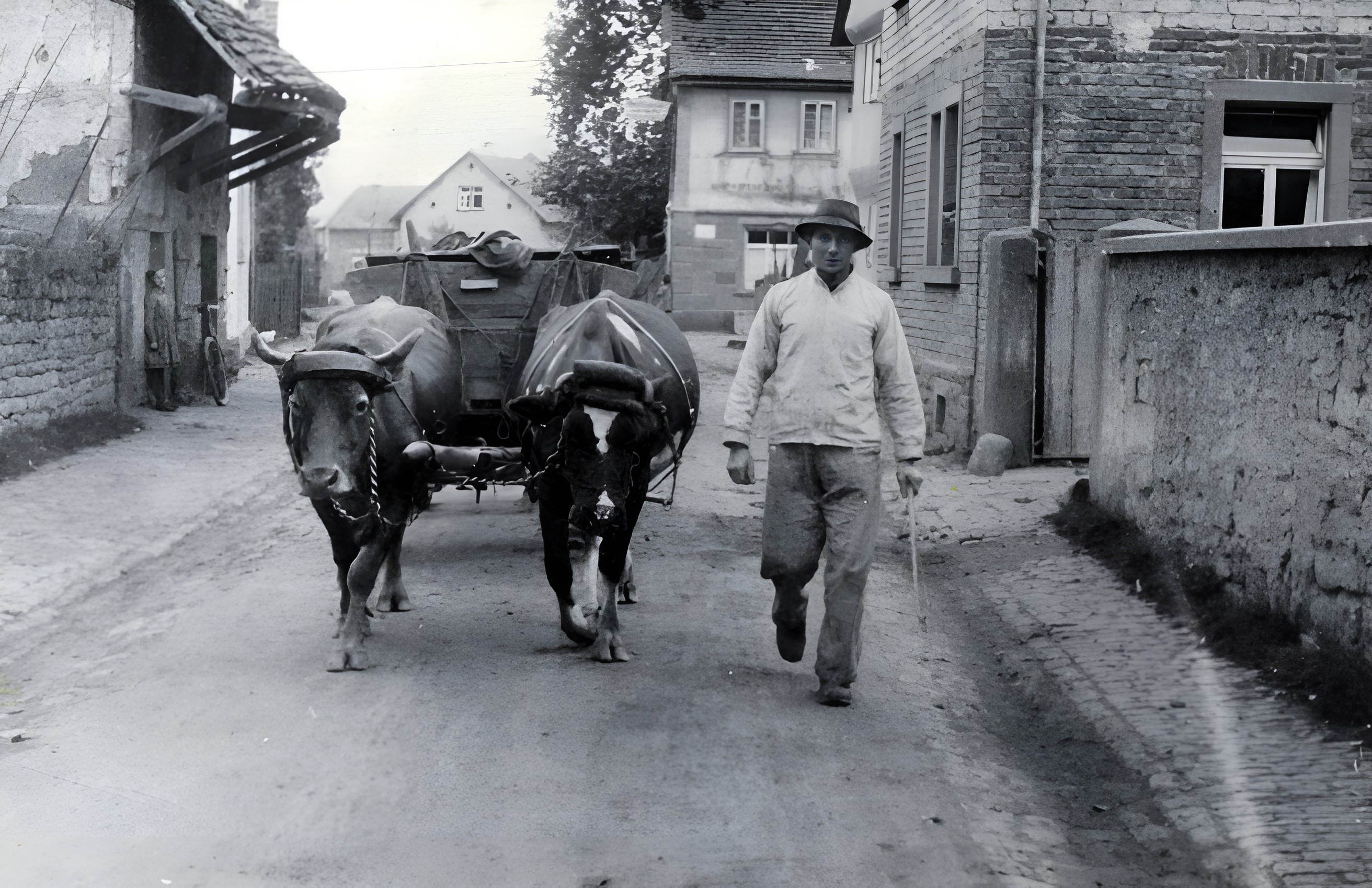 Die Rosenbergstraße 20 um 1935 (Blick nach Süden)
