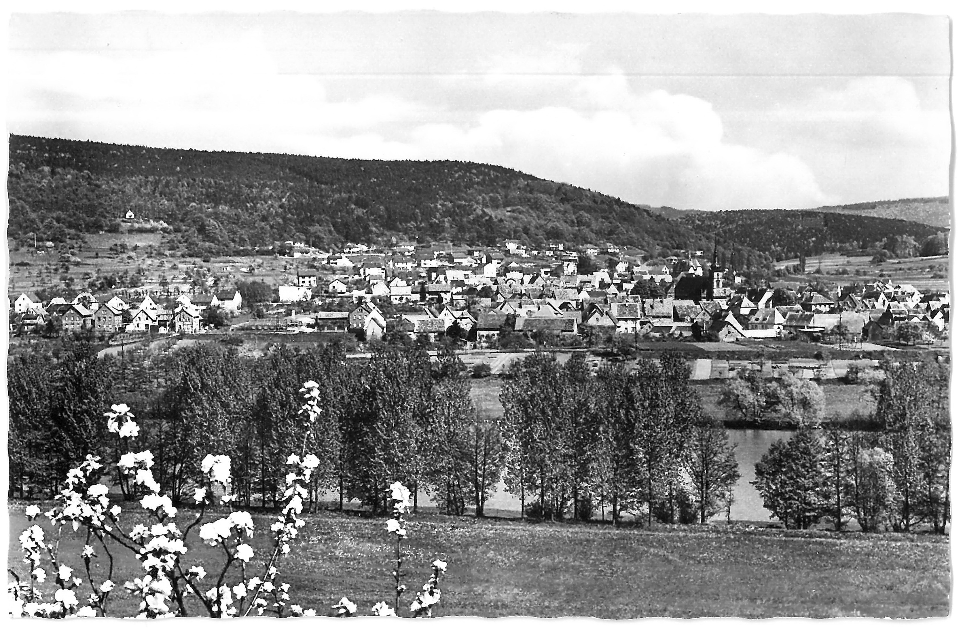 Gesamtansicht von Westen um 1950