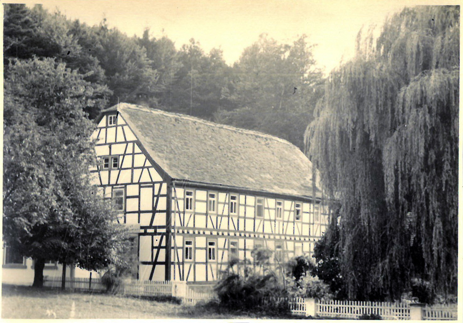 Die Paradeismühle