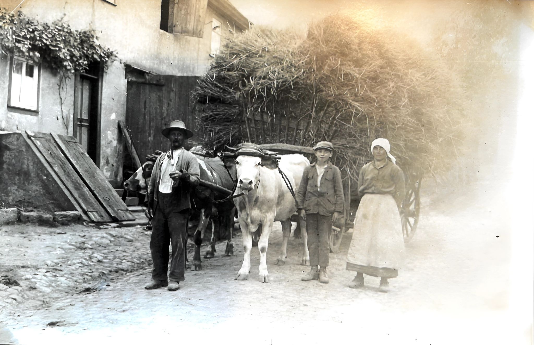 Heuernte um ca. 1920